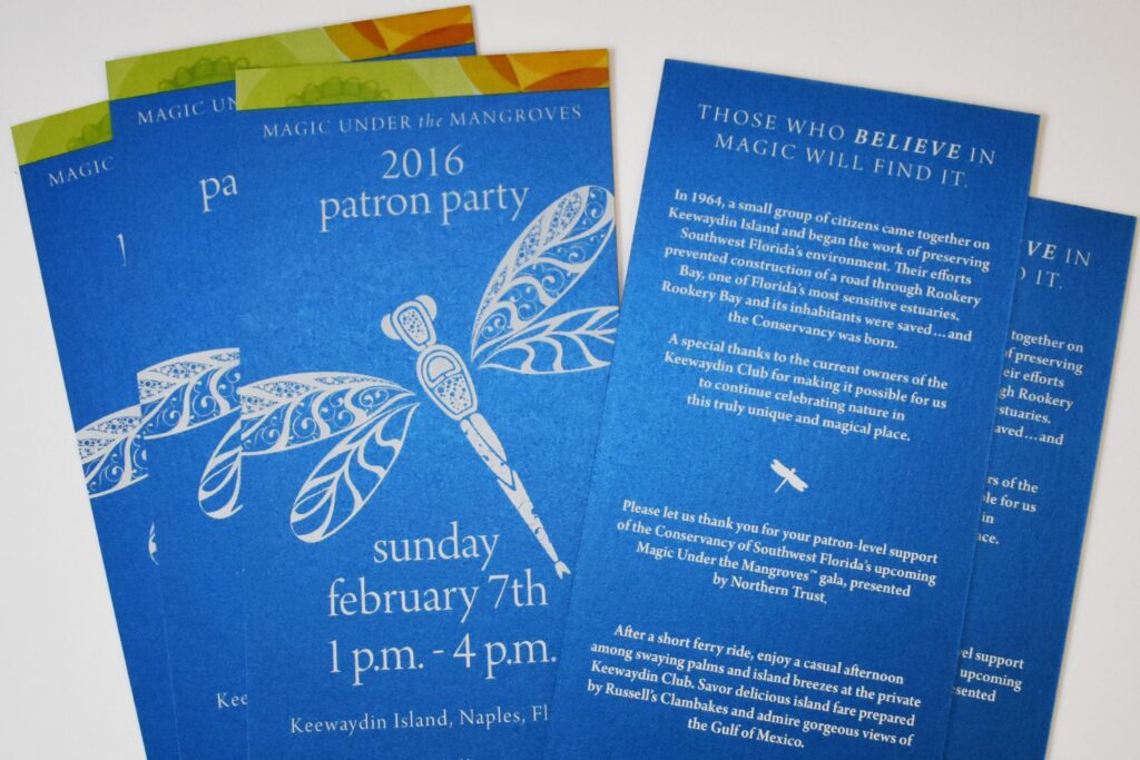 Magic under the mangroves rack card 2